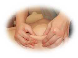 画像：顔、背中管理